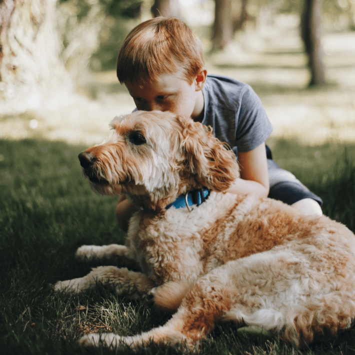 Dog and child