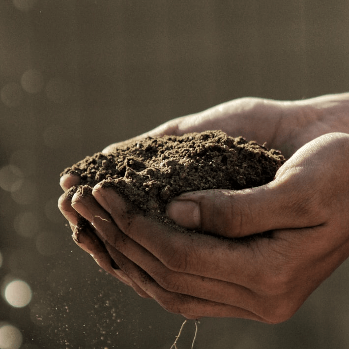 Soil and hands