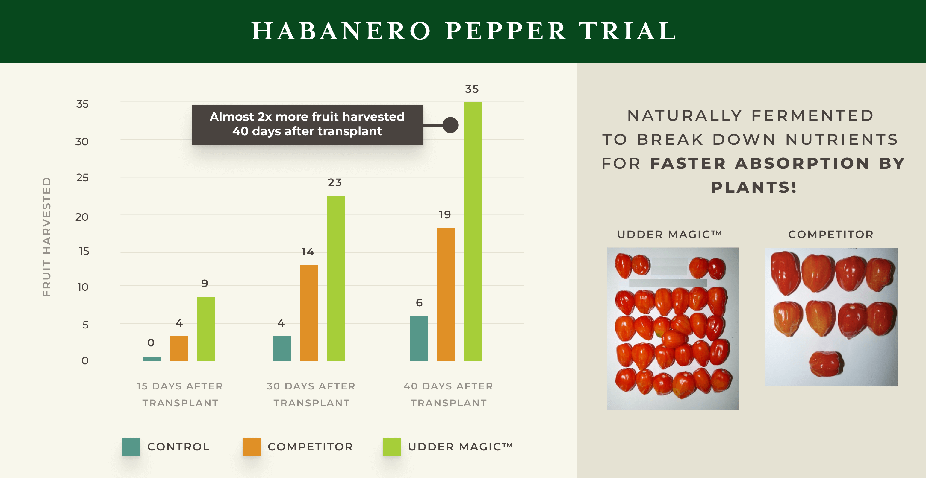 Chart showing superior results of Udder Magic plant food versus competitor products - almost 2x fruit harvested 40 days after translplant